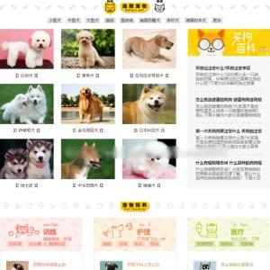 专业宠物资讯平台网站源码分享,含手机版,带采集功能等模板首页封面图片